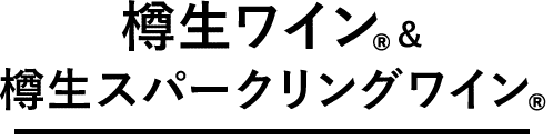 樽生ワイン