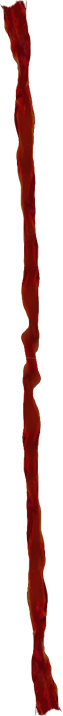注ぐ