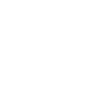 サラダ