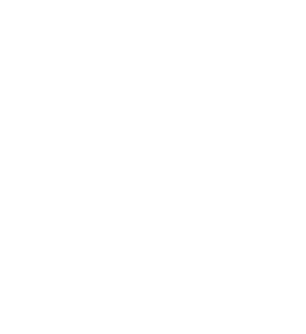 肉Party