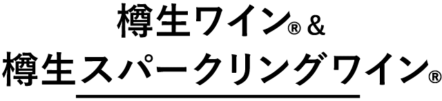 樽生ワイン